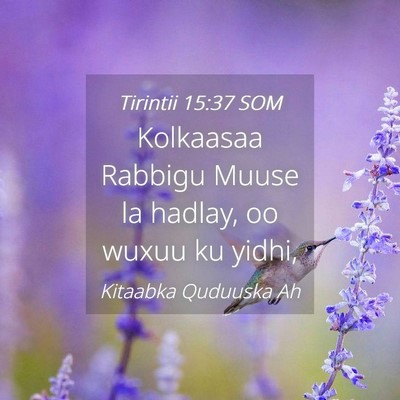 Picture 04 - Tirintii 15:37 SOM - Kolkaasaa Rabbigu Muuse la hadlay, oo wuxuu ku - Bible Verse Picture