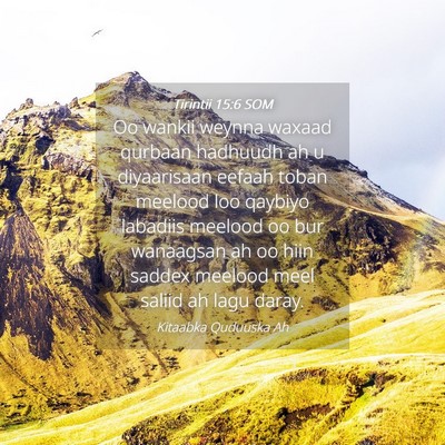 Picture 04 - Tirintii 15:6 SOM - Oo wankii weynna waxaad qurbaan hadhuudh ah u - Bible Verse Picture