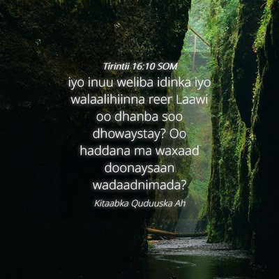 Picture 04 - Tirintii 16:10 SOM - iyo inuu weliba idinka iyo walaalihiinna reer - Bible Verse Picture