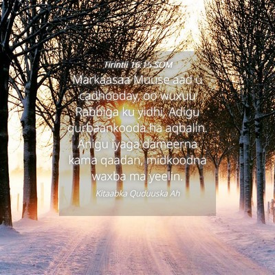 Picture 04 - Tirintii 16:15 SOM - Markaasaa Muuse aad u cadhooday, oo wuxuu Rabbiga - Bible Verse Picture
