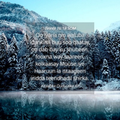 Picture 04 - Tirintii 16:18 SOM - Oo iyana nin waluba idankiisii buu soo qaatay, oo - Bible Verse Picture