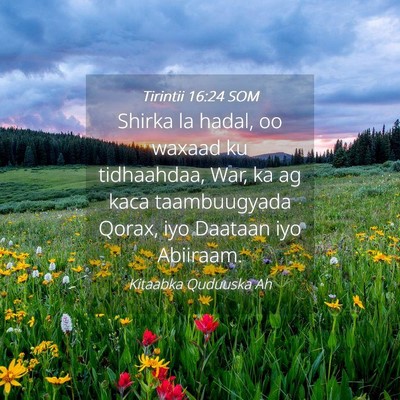 Picture 04 - Tirintii 16:24 SOM - Shirka la hadal, oo waxaad ku tidhaahdaa, War, ka - Bible Verse Picture