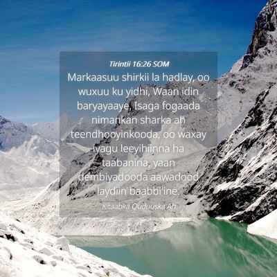 Picture 04 - Tirintii 16:26 SOM - Markaasuu shirkii la hadlay, oo wuxuu ku yidhi, - Bible Verse Picture