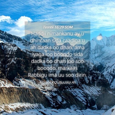Picture 04 - Tirintii 16:29 SOM - Haddii nimankanu ay u dhintaan sida caadiga u ah - Bible Verse Picture