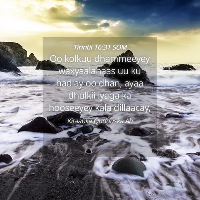 Picture 04 - Tirintii 16:31 SOM - Oo kolkuu dhammeeyey waxyaalahaas uu ku hadlay oo - Bible Verse Picture