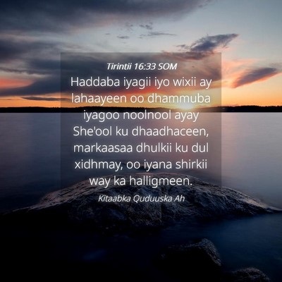 Picture 04 - Tirintii 16:33 SOM - Haddaba iyagii iyo wixii ay lahaayeen oo dhammuba - Bible Verse Picture