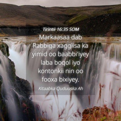 Picture 04 - Tirintii 16:35 SOM - Markaasaa dab Rabbiga xaggiisa ka yimid oo - Bible Verse Picture