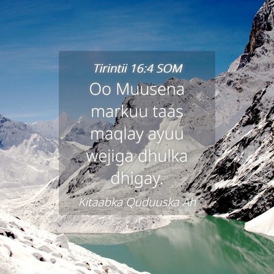Picture 04 - Tirintii 16:4 SOM - Oo Muusena markuu taas maqlay ayuu wejiga dhulka - Bible Verse Picture