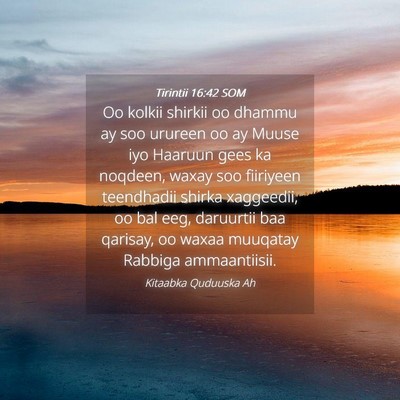 Picture 04 - Tirintii 16:42 SOM - Oo kolkii shirkii oo dhammu ay soo urureen oo ay - Bible Verse Picture