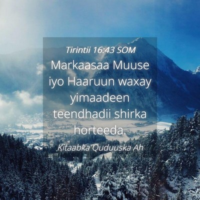 Picture 04 - Tirintii 16:43 SOM - Markaasaa Muuse iyo Haaruun waxay yimaadeen - Bible Verse Picture