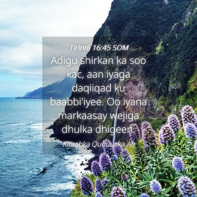 Picture 04 - Tirintii 16:45 SOM - Adigu shirkan ka soo kac, aan iyaga daqiiqad ku - Bible Verse Picture