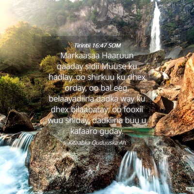 Picture 04 - Tirintii 16:47 SOM - Markaasaa Haaruun qaaday sidii Muuse ku hadlay, - Bible Verse Picture