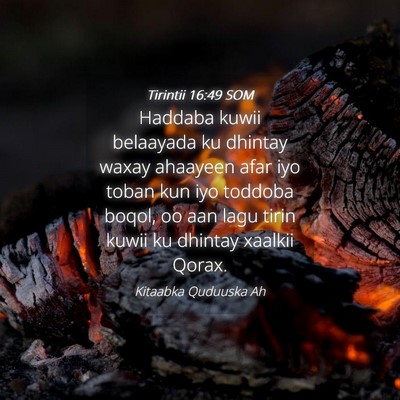Picture 04 - Tirintii 16:49 SOM - Haddaba kuwii belaayada ku dhintay waxay ahaayeen - Bible Verse Picture