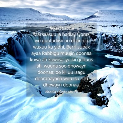Picture 04 - Tirintii 16:5 SOM - Markaasuu la hadlay Qorax iyo guutadiisii oo dhan - Bible Verse Picture