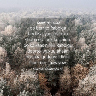 Picture 04 - Tirintii 16:7 SOM - oo berrito Rabbiga hortiisa iyaga dab ku shuba oo - Bible Verse Picture