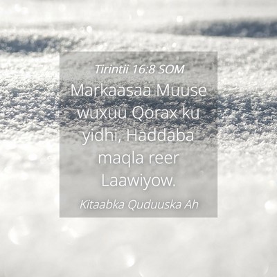 Picture 04 - Tirintii 16:8 SOM - Markaasaa Muuse wuxuu Qorax ku yidhi, Haddaba - Bible Verse Picture