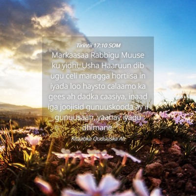 Picture 04 - Tirintii 17:10 SOM - Markaasaa Rabbigu Muuse ku yidhi, Usha Haaruun - Bible Verse Picture