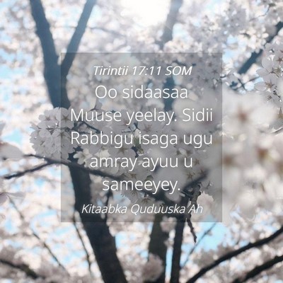 Picture 04 - Tirintii 17:11 SOM - Oo sidaasaa Muuse yeelay. Sidii Rabbigu isaga ugu - Bible Verse Picture