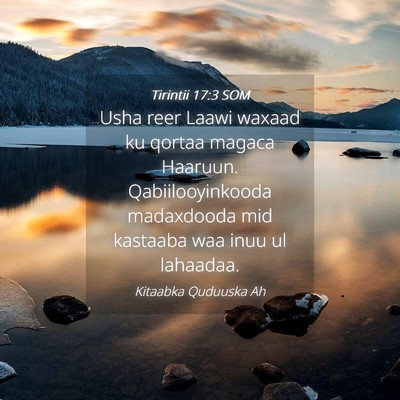 Picture 04 - Tirintii 17:3 SOM - Usha reer Laawi waxaad ku qortaa magaca Haaruun. - Bible Verse Picture