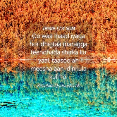 Picture 04 - Tirintii 17:4 SOM - Oo waa inaad iyaga hor dhigtaa maragga teendhada - Bible Verse Picture