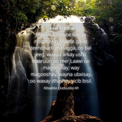 Picture 04 - Tirintii 17:8 SOM - Maalintii dambe waxaa noqotay in Muuse galay - Bible Verse Picture