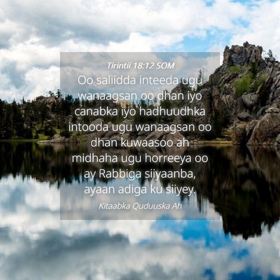 Picture 04 - Tirintii 18:12 SOM - Oo saliidda inteeda ugu wanaagsan oo dhan iyo - Bible Verse Picture