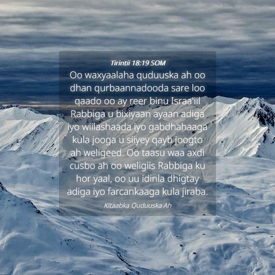 Picture 04 - Tirintii 18:19 SOM - Oo waxyaalaha quduuska ah oo dhan qurbaannadooda - Bible Verse Picture