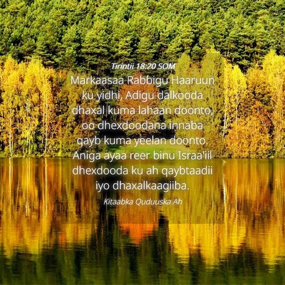 Picture 04 - Tirintii 18:20 SOM - Markaasaa Rabbigu Haaruun ku yidhi, Adigu - Bible Verse Picture