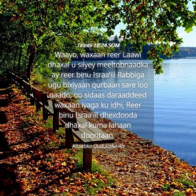 Picture 04 - Tirintii 18:24 SOM - Waayo, waxaan reer Laawi dhaxal u siiyey - Bible Verse Picture