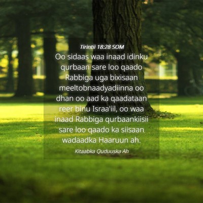 Picture 04 - Tirintii 18:28 SOM - Oo sidaas waa inaad idinku qurbaan sare loo qaado - Bible Verse Picture