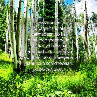 Picture 04 - Tirintii 18:4 SOM - Oo iyagu ha idinku darmadeen oo ha dhawreen - Bible Verse Picture