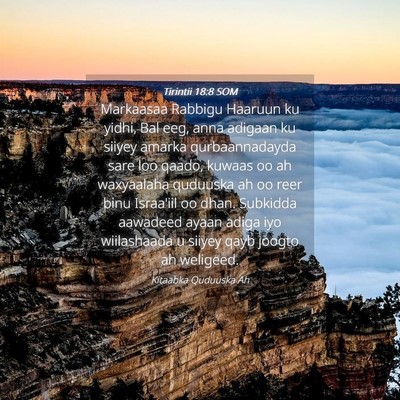 Picture 04 - Tirintii 18:8 SOM - Markaasaa Rabbigu Haaruun ku yidhi, Bal eeg, anna - Bible Verse Picture