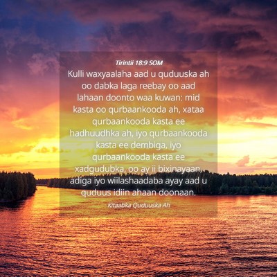 Picture 04 - Tirintii 18:9 SOM - Kulli waxyaalaha aad u quduuska ah oo dabka laga - Bible Verse Picture