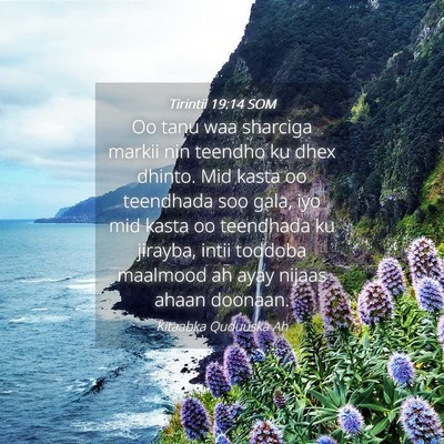 Picture 04 - Tirintii 19:14 SOM - Oo tanu waa sharciga markii nin teendho ku dhex - Bible Verse Picture