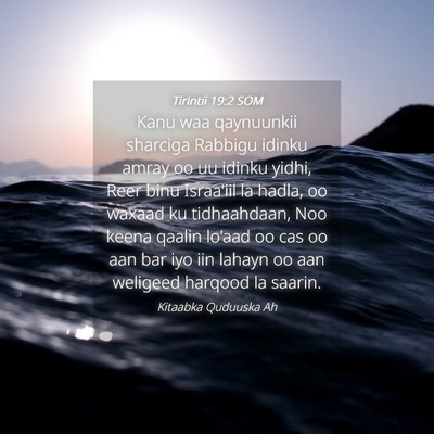 Picture 04 - Tirintii 19:2 SOM - Kanu waa qaynuunkii sharciga Rabbigu idinku amray - Bible Verse Picture