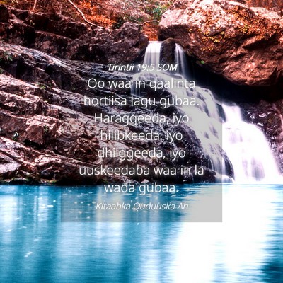 Picture 04 - Tirintii 19:5 SOM - Oo waa in qaalinta hortiisa lagu gubaa. - Bible Verse Picture