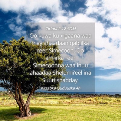 Picture 04 - Tirintii 2:12 SOM - Oo kuwa ku xigaana waa inay ahaadaan qabiilka - Bible Verse Picture