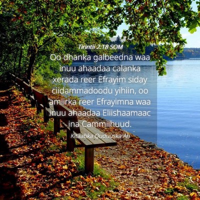 Picture 04 - Tirintii 2:18 SOM - Oo dhanka galbeedna waa inuu ahaadaa calanka - Bible Verse Picture