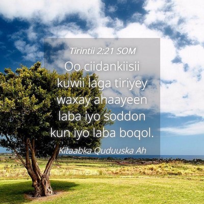 Picture 04 - Tirintii 2:21 SOM - Oo ciidankiisii kuwii laga tiriyey waxay ahaayeen - Bible Verse Picture