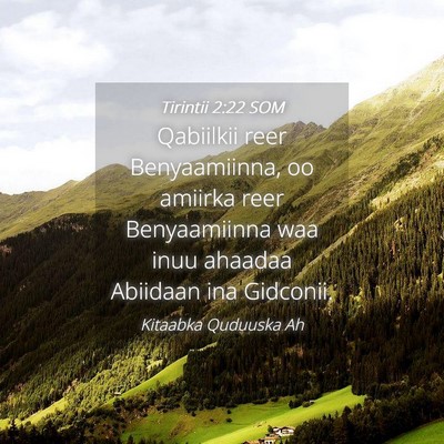 Picture 04 - Tirintii 2:22 SOM - Qabiilkii reer Benyaamiinna, oo amiirka reer - Bible Verse Picture