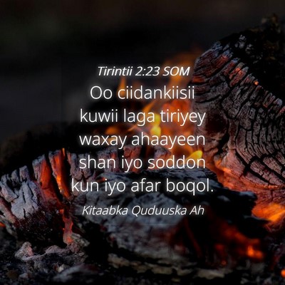 Picture 04 - Tirintii 2:23 SOM - Oo ciidankiisii kuwii laga tiriyey waxay ahaayeen - Bible Verse Picture
