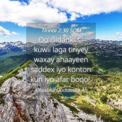 Picture 04 - Tirintii 2:30 SOM - Oo ciidankiisii kuwii laga tiriyey waxay ahaayeen - Bible Verse Picture