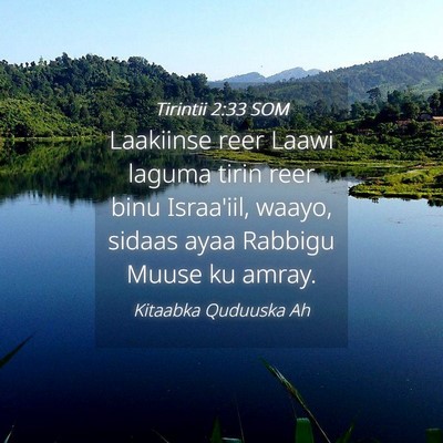 Picture 04 - Tirintii 2:33 SOM - Laakiinse reer Laawi laguma tirin reer binu - Bible Verse Picture