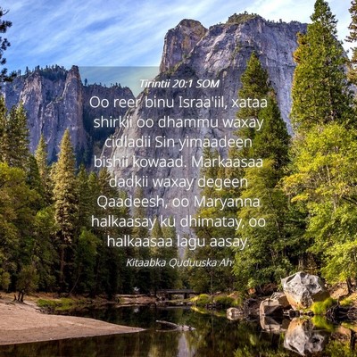 Picture 04 - Tirintii 20:1 SOM - Oo reer binu Israa'iil, xataa shirkii oo dhammu - Bible Verse Picture