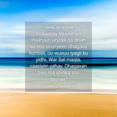 Picture 04 - Tirintii 20:10 SOM - Kolkaasay Muuse iyo Haaruun ururkii oo dhan ku - Bible Verse Picture