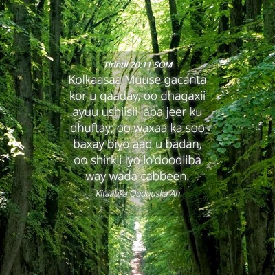 Picture 04 - Tirintii 20:11 SOM - Kolkaasaa Muuse gacanta kor u qaaday, oo dhagaxii - Bible Verse Picture