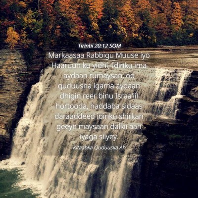 Picture 04 - Tirintii 20:12 SOM - Markaasaa Rabbigu Muuse iyo Haaruun ku yidhi, - Bible Verse Picture