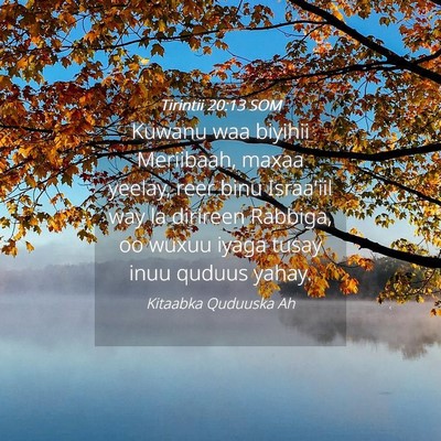 Picture 04 - Tirintii 20:13 SOM - Kuwanu waa biyihii Meriibaah, maxaa yeelay, reer - Bible Verse Picture