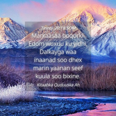 Picture 04 - Tirintii 20:18 SOM - Markaasaa boqorkii Edom wuxuu ku yidhi, Dalkayga - Bible Verse Picture