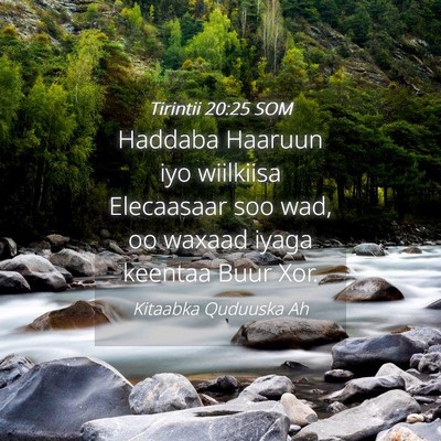 Picture 04 - Tirintii 20:25 SOM - Haddaba Haaruun iyo wiilkiisa Elecaasaar soo wad, - Bible Verse Picture